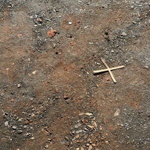 Meet your Posher, Wyatt